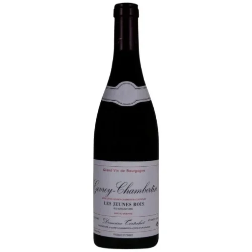 Domaine Tortochot Gevrey-Chambertin 'Les Jeunes Rois' 2022