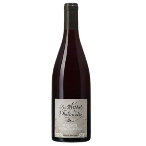 Domaine Les Terres de Philéandre Bourgogne Hautes‑Côtes de Nuits Rouge “Célénie” 2021