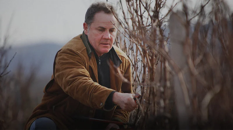 content_Inage_Sigut Domaine Anne & Hervé Sigaut Vieilles Vignes Chambolle‑Musigny 1er Cru “Les Sentiers” 2022