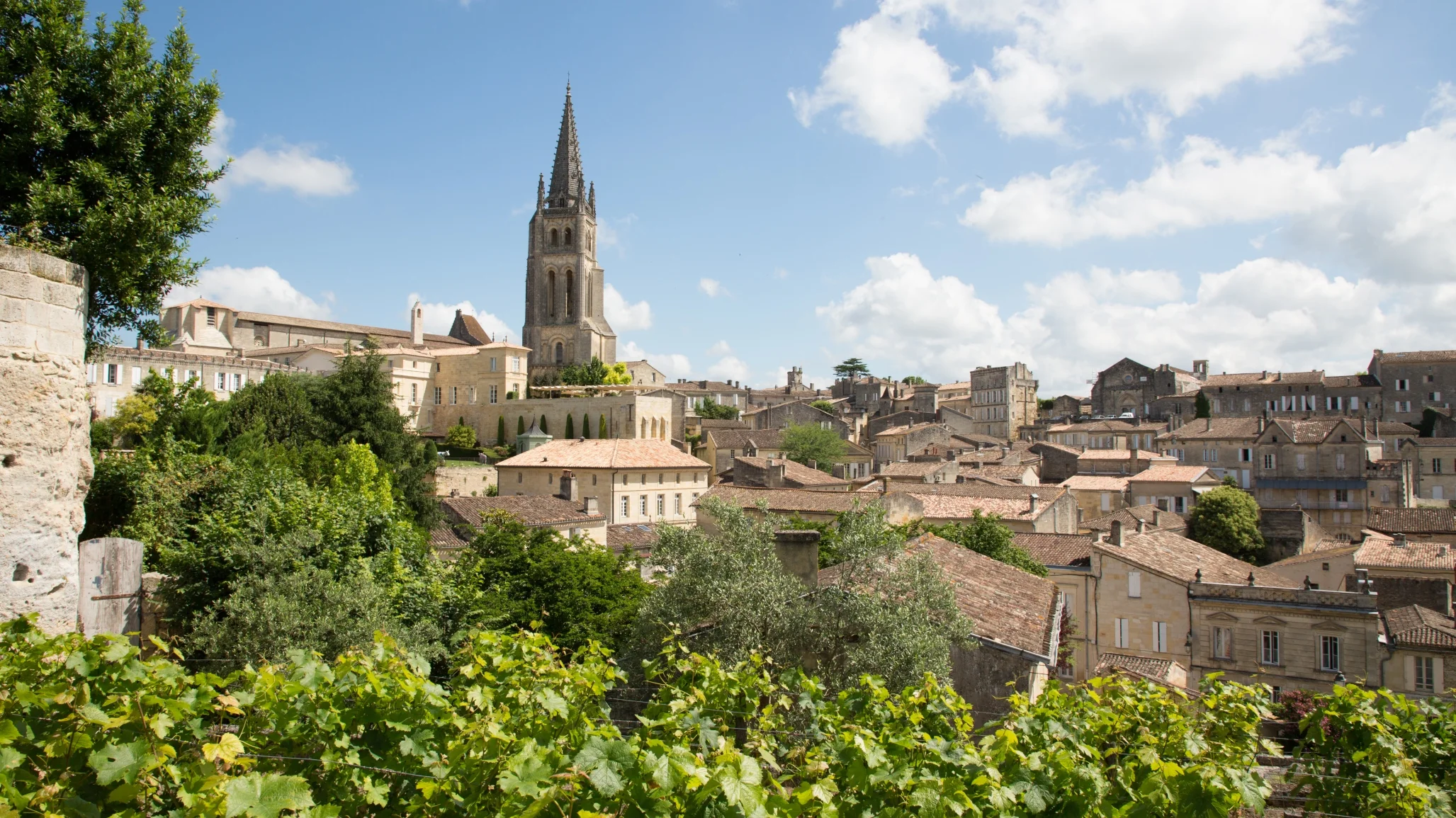 saint-emilion-grand-cru-5972-1-3 Destieux Berger Saint Émilion Grand Cru